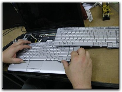 Ремонт клавиатуры на ноутбуке Toshiba в Тосно
